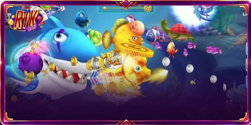Một vài lưu ý quan trọng mà người chơi cần quan tâm khi cược tại cổng cược RIKVIP