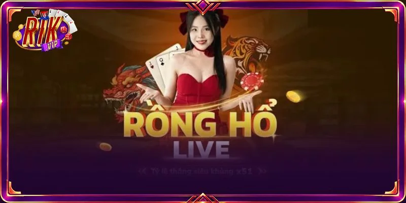 Người chơi nên cân nhắc khi đặt cược vào bất kỳ cửa nào ở long hổ